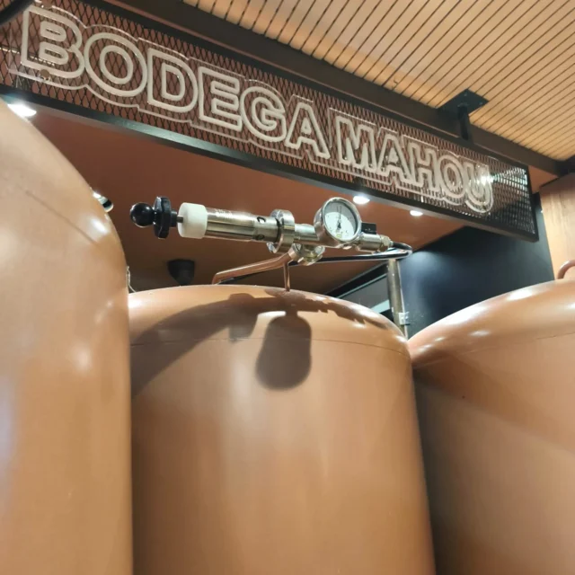 Entre conversaciones, tapas y brindis, siempre hay un detalle que marca la diferencia: los depósitos de cerveza bien tirada en nuestra zona de bar, listos para regalarnos ese sabor auténtico de Mahou.
Un ritual que nunca pasa de moda y que convierte cada momento en especial 🍺✨👉 Porque la cerveza no es solo bebida, es compartir, disfrutar y saborear el presente.🍻
.
#cerveza #mahou #Segovia #septiembre #bar #DisfrutarSegovia
